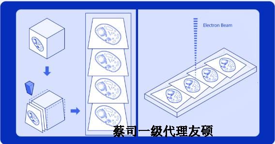 甘南蔡司甘南扫描电镜