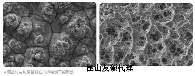 甘南蔡司甘南扫描电镜